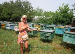 Розсадник декоративних і лісових культур в урочищі ,,Дальницький ліс,, Великодолинського ЛГ